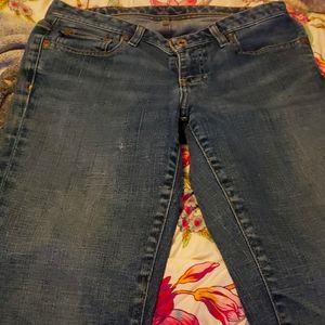 Women's Polo Jeans